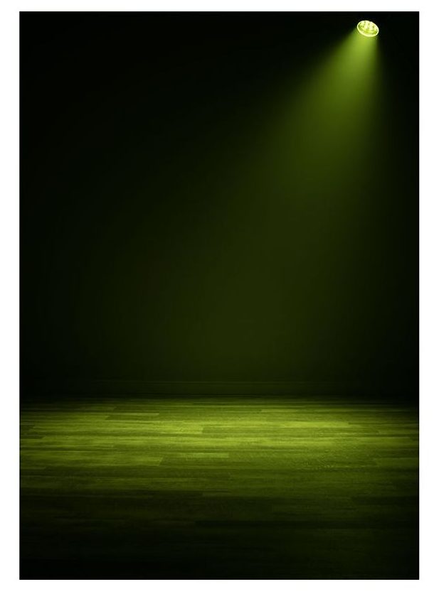 ADJ Encore LP12Z IP Par Wide Beam